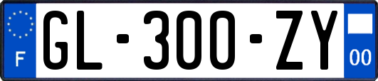 GL-300-ZY