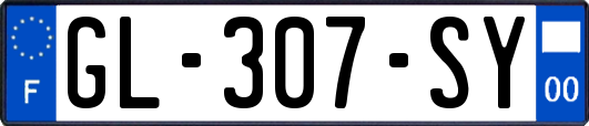 GL-307-SY