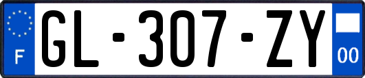 GL-307-ZY