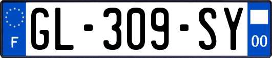 GL-309-SY