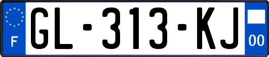 GL-313-KJ