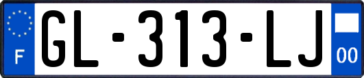 GL-313-LJ
