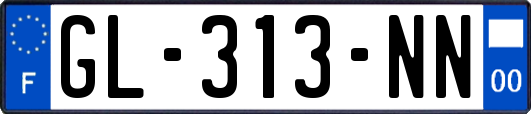 GL-313-NN
