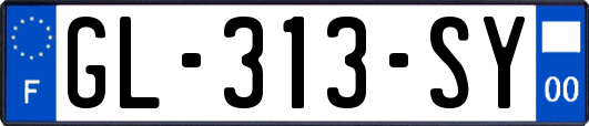 GL-313-SY