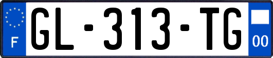 GL-313-TG