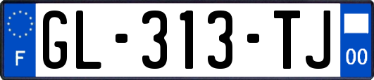 GL-313-TJ