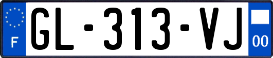 GL-313-VJ