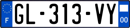 GL-313-VY