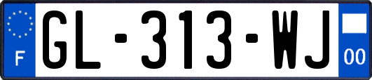 GL-313-WJ