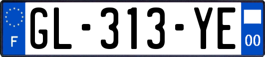 GL-313-YE