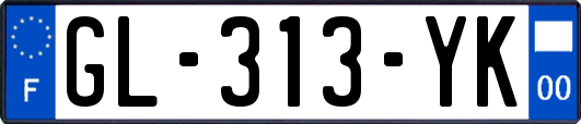 GL-313-YK