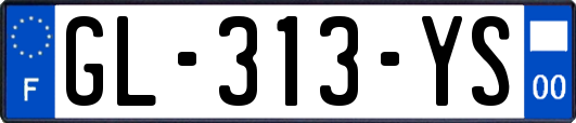 GL-313-YS