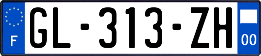 GL-313-ZH