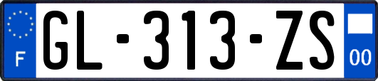 GL-313-ZS