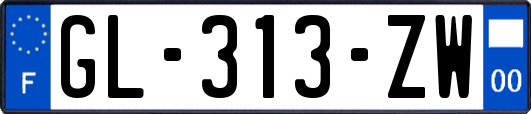 GL-313-ZW