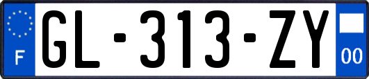 GL-313-ZY