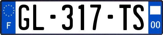 GL-317-TS