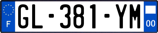 GL-381-YM