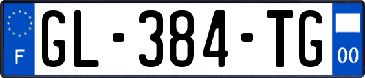 GL-384-TG