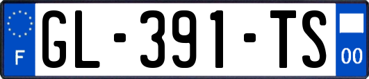 GL-391-TS