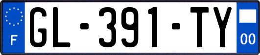 GL-391-TY
