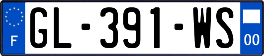 GL-391-WS