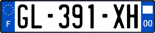 GL-391-XH