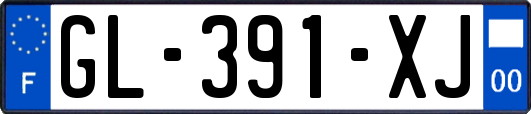 GL-391-XJ
