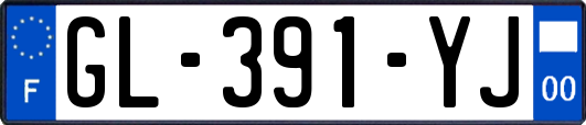 GL-391-YJ