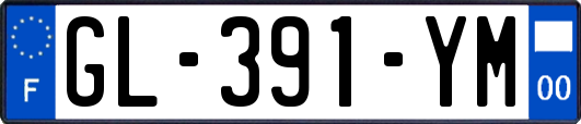 GL-391-YM