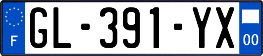 GL-391-YX