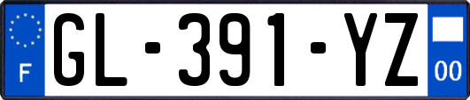 GL-391-YZ
