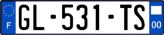 GL-531-TS