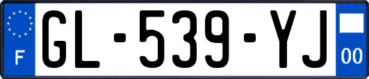 GL-539-YJ