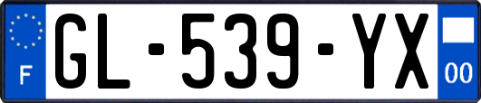 GL-539-YX
