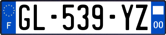 GL-539-YZ