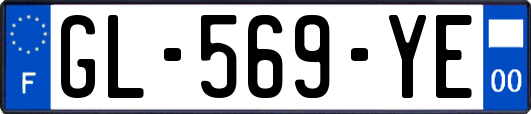 GL-569-YE