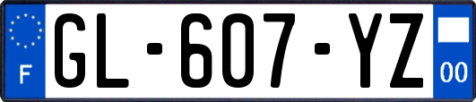 GL-607-YZ