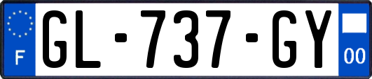 GL-737-GY