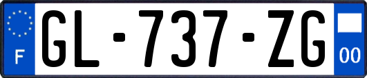 GL-737-ZG
