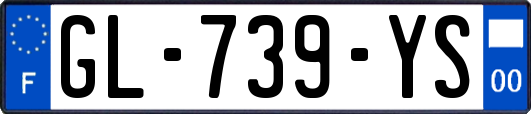 GL-739-YS
