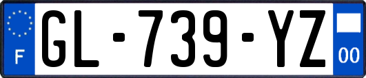 GL-739-YZ