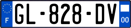 GL-828-DV