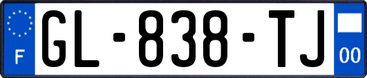 GL-838-TJ