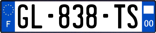 GL-838-TS