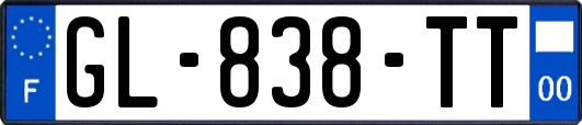 GL-838-TT