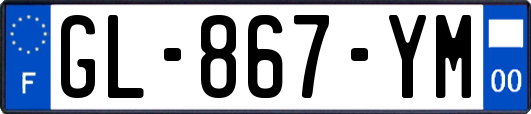 GL-867-YM