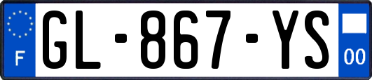 GL-867-YS