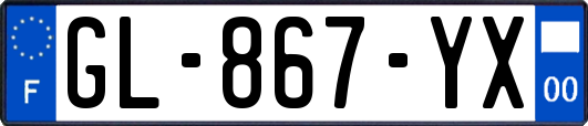 GL-867-YX
