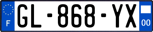 GL-868-YX